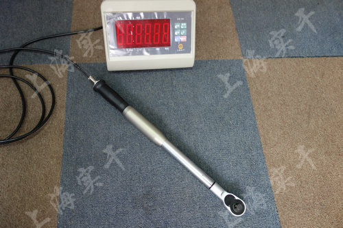 SGTS�B��X���@Ť������