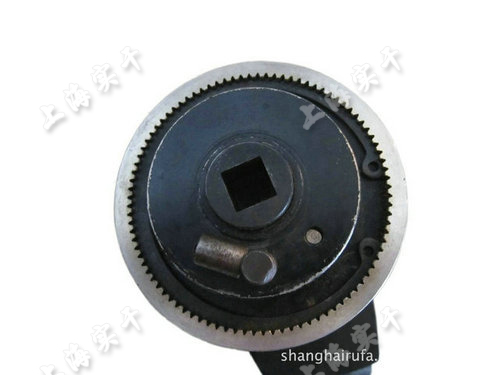 �������ֈDƬ